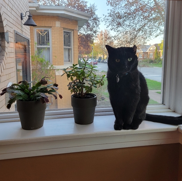 Meet your Posher, Dana - Picture 13 of 16